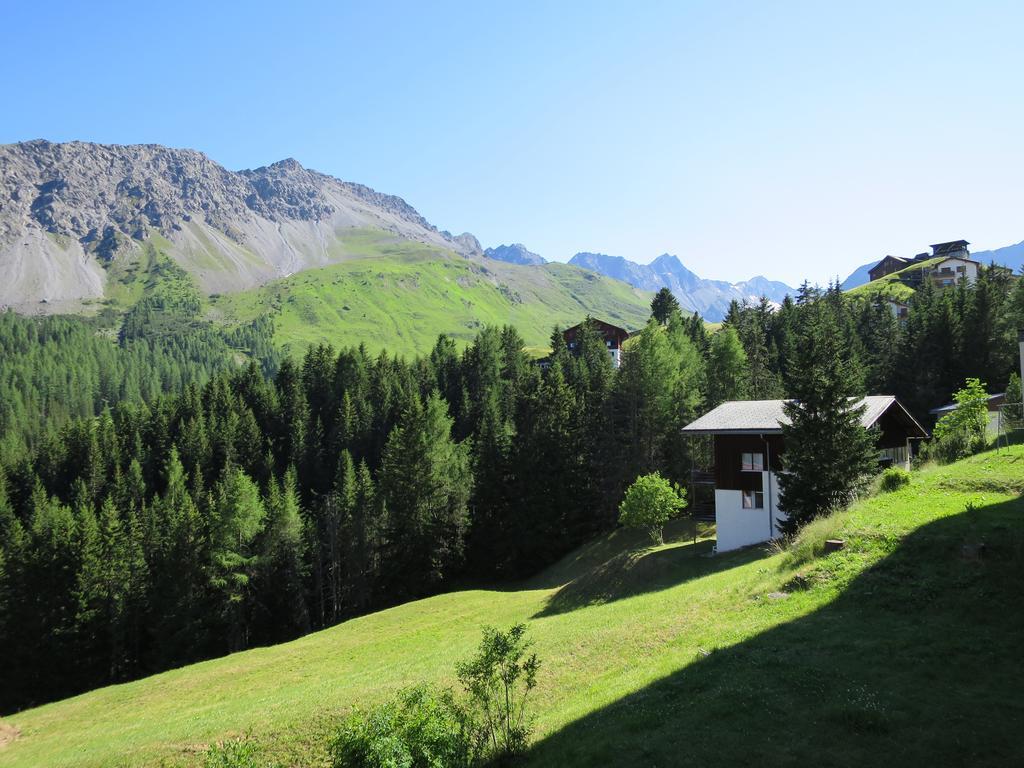 Franca E06 * Arosa