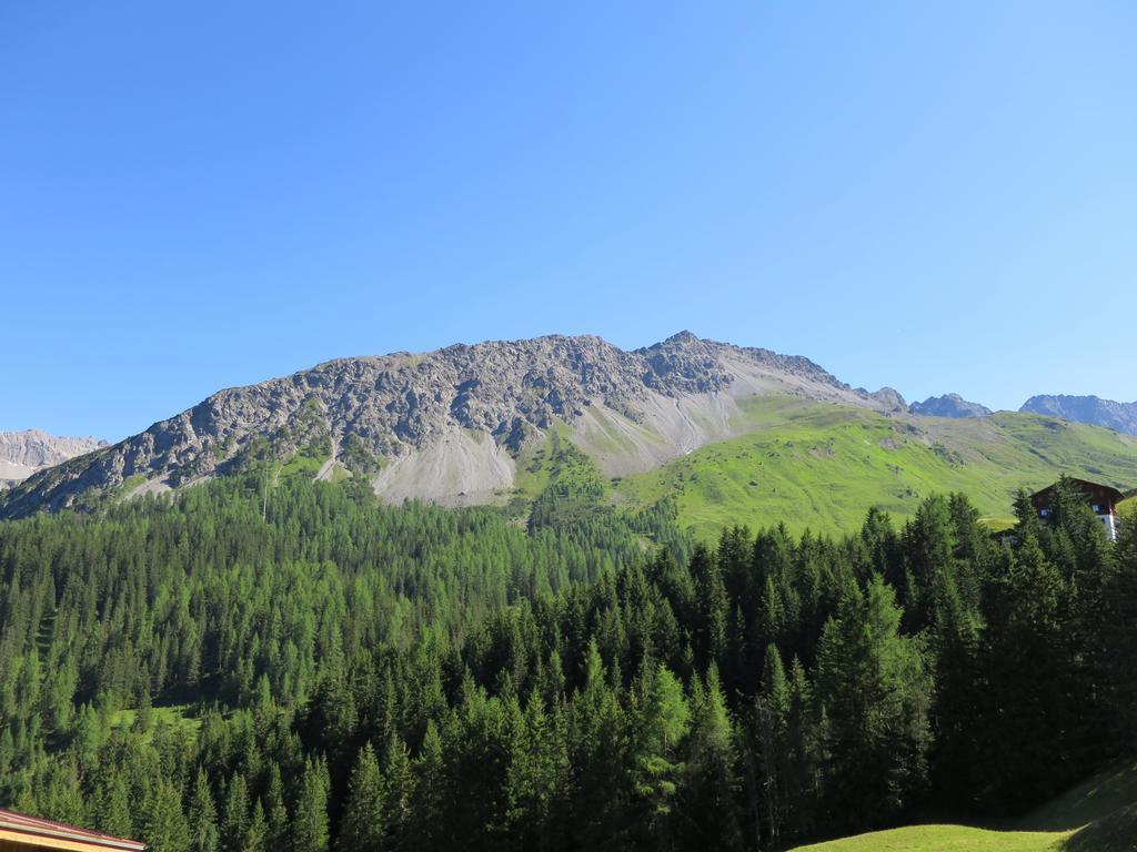 Franca E06 * Arosa